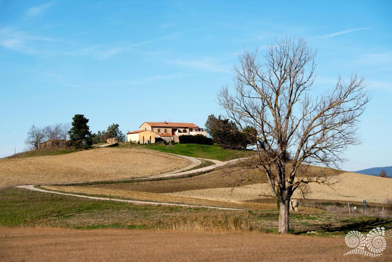 Poggio Alla Pietra 26 Porrona エクステリア 写真
