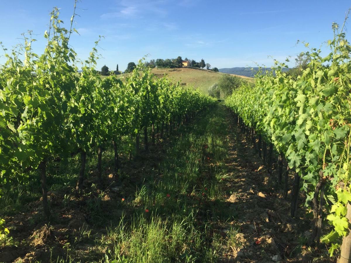 Poggio Alla Pietra 26 Porrona エクステリア 写真