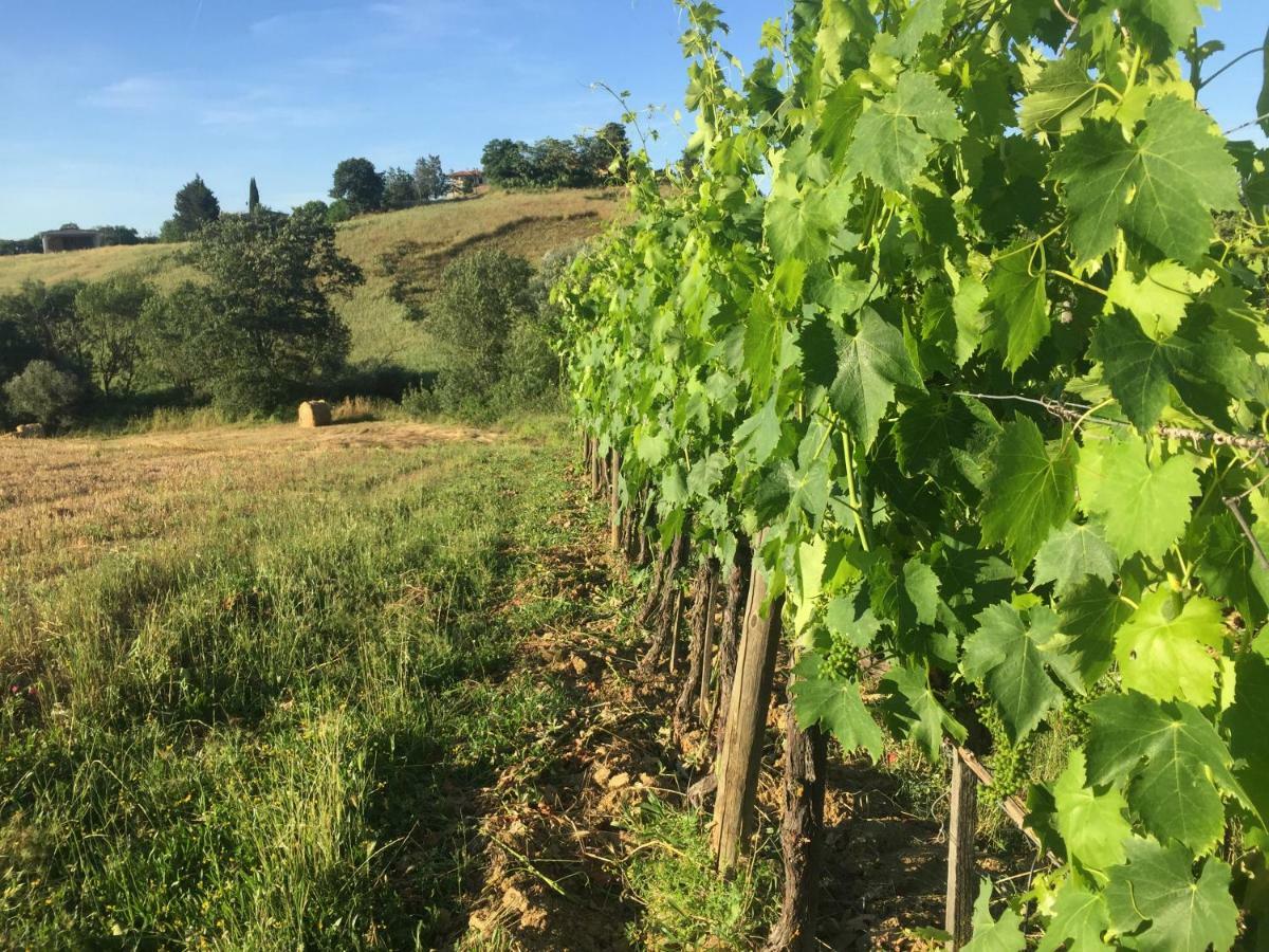 Poggio Alla Pietra 26 Porrona エクステリア 写真