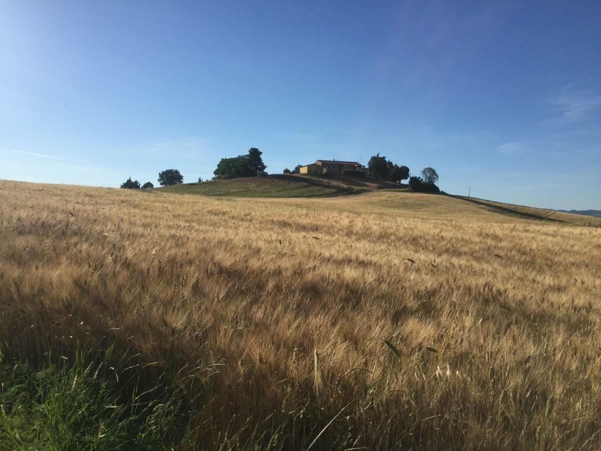 Poggio Alla Pietra 26 Porrona エクステリア 写真