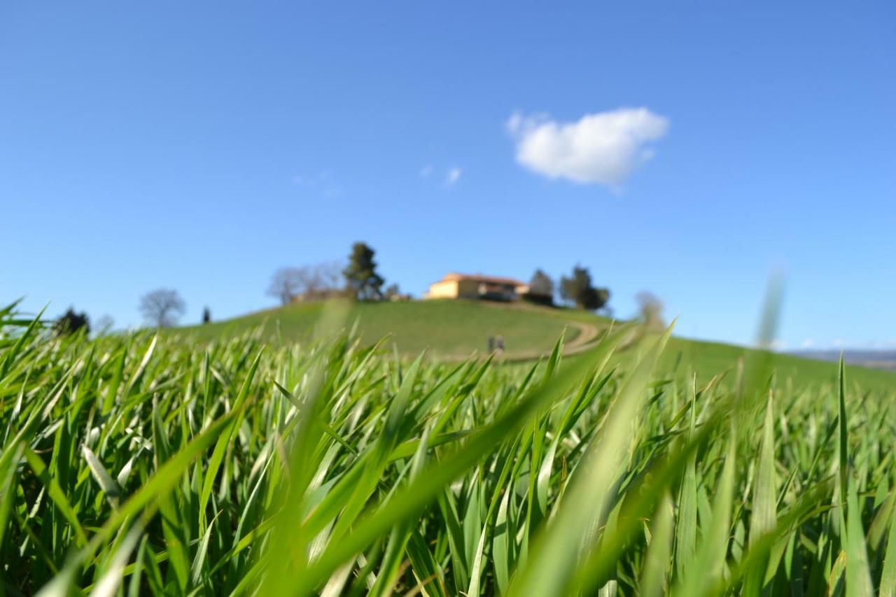 Poggio Alla Pietra 26 Porrona エクステリア 写真